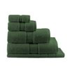 foresta-green,first