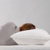 Luxury Microfibre Pillow Medium