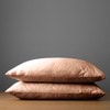 Luxury Bamboo Pillowcase Pair - Lustro