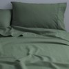 spruce---new,first