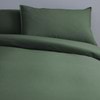 spruce---new,first
