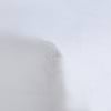 white,cat-hover