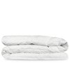 Anatra White Duck Feather All Seasons Quilt