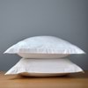 carrara-white,first
