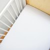 carrara-white,first