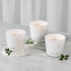 Extra Large 3 Wick Soy Wax Candle - Italian Jasmine