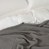 ash-grey---new