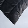 black,cat-hover