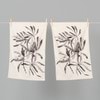 Aussie Tea Towel Botanical Twin Pack - Banksia