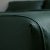 Palazzo Royale 1000TC Single Sheet Set - Terra Green