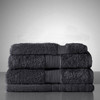Egyptian Royale 4 Piece Towel Set