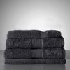 Egyptian Royale 4 Piece Towel Set