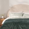 mineral-green