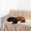 Luxe Super Soft Blanket
