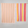 Positana Terry Beach & Bath Towel - Ombra Rainbow