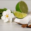 Reed Diffuser - Finger Lime & Coconut