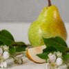 Reed Diffuser - French Pear