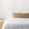 Velvet Natural Lumbar Cushion - Velluto