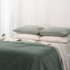 Velvet Spruce  Coverlet - Velluto 