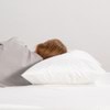 Cooling Memory Foam Pillow