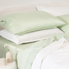 serene-green---new