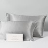 silver-silk,first