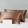 Real Mulberry Silk Pillowcase Twin Pack - Beautysilks