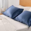 Real Mulberry Silk Pillowcase Twin Pack - Beautysilks