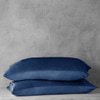 indigo-blue