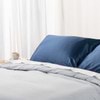 indigo-blue