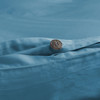 ocean---new