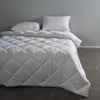 Hypoallergenic Pillow Twin Pack