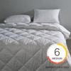Hypoallergenic Down Alternative Quilt