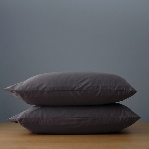 porcini-grey