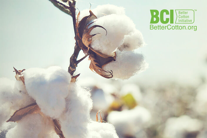 cotton